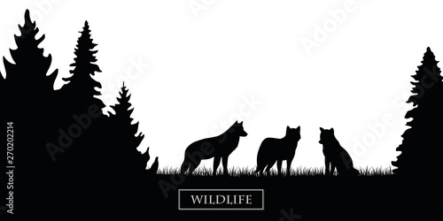 wildlife wolfs pack silhouette in the forest on the meadow black and white vector illustration EPS10