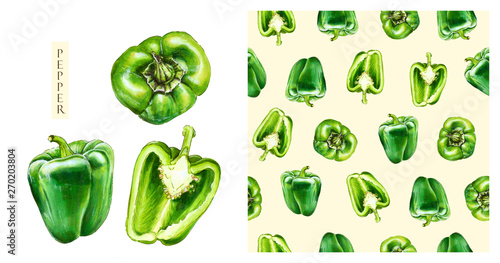 Slika na platnu Green bell pepper isolated on white background