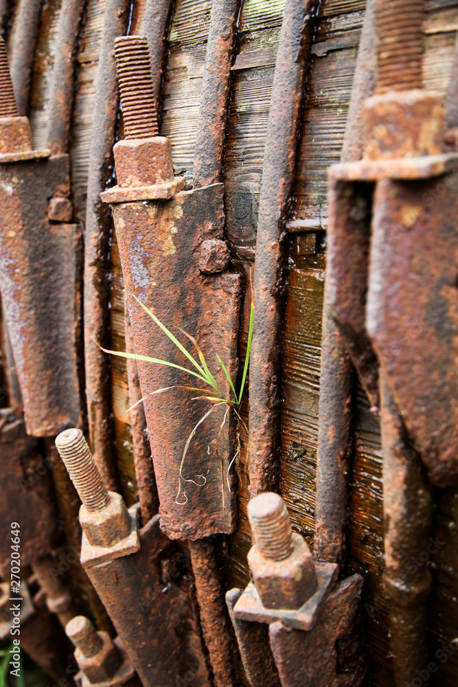 A huge wooden water pipe with old iron straps holding it. Save water concept. A huge wooden water pipe with old iron straps holding it. Save water concept.