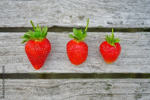 Three red ripe strawberries freshly picked on a garden table