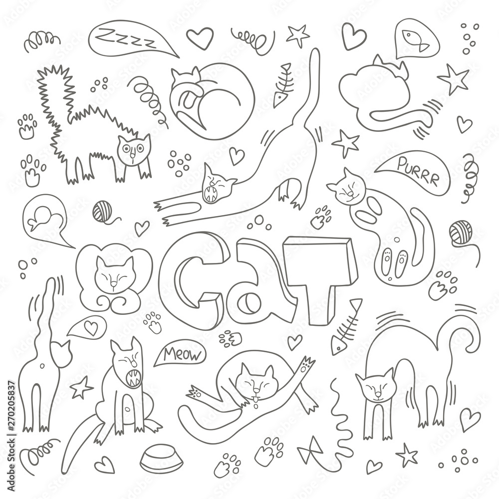 Hand drawn vector illustrations of cats characters. Flat style. Doodle  with lettering Cat