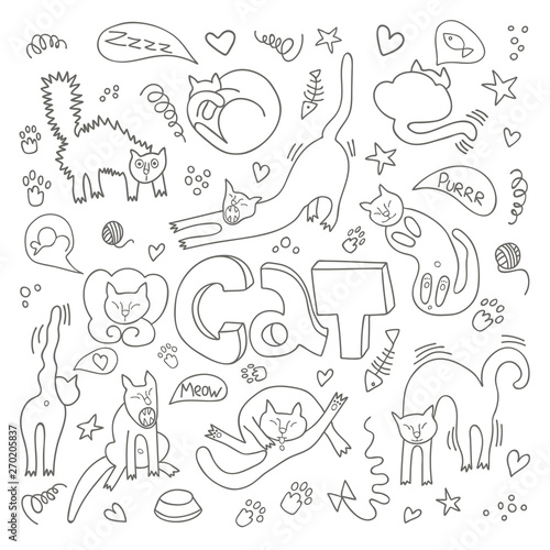 Hand drawn vector illustrations of cats characters. Flat style. Doodle with lettering Cat
