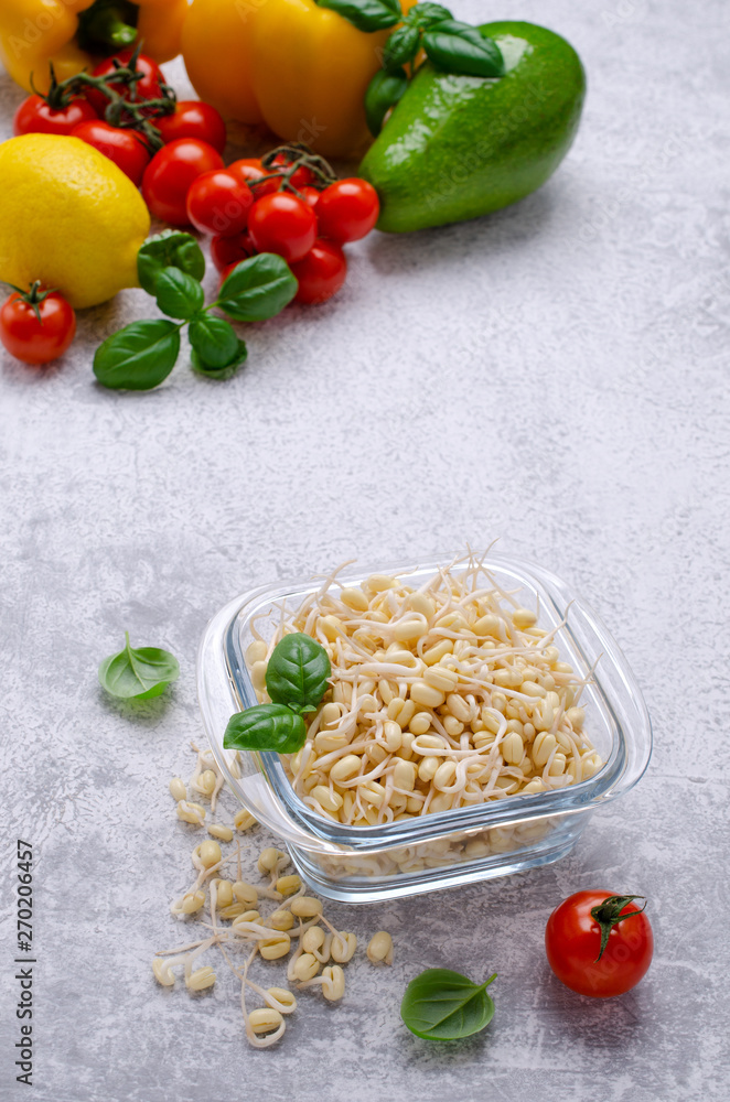 Fresh sprouts of bean seeds. Fresh sprouts of bean seeds.