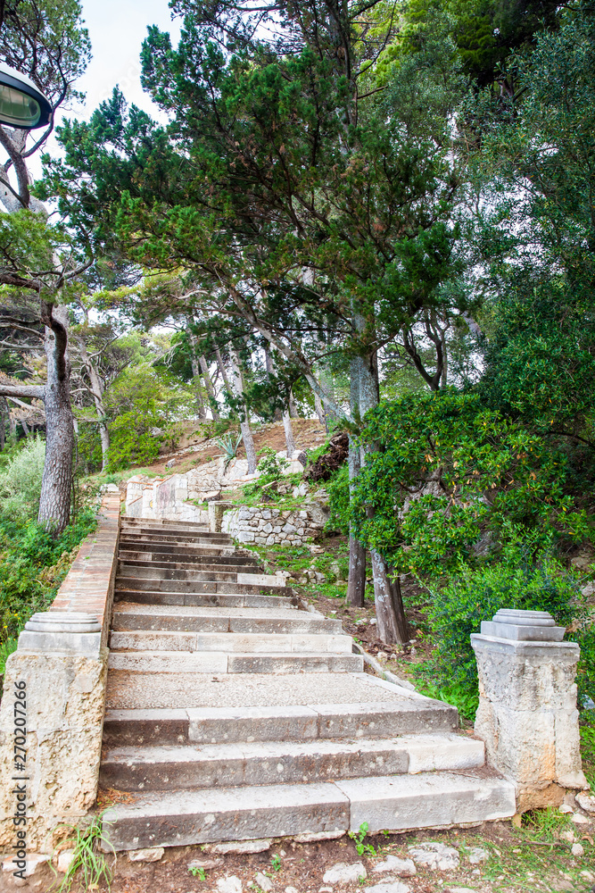 Beautiful paths of the Gradac Park in Dubrovnik