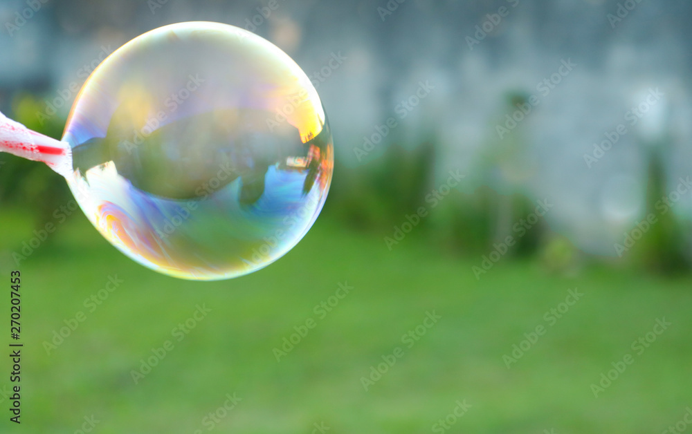 Buble Soap ball with lawn in the background Buble Soap ball with lawn in the background