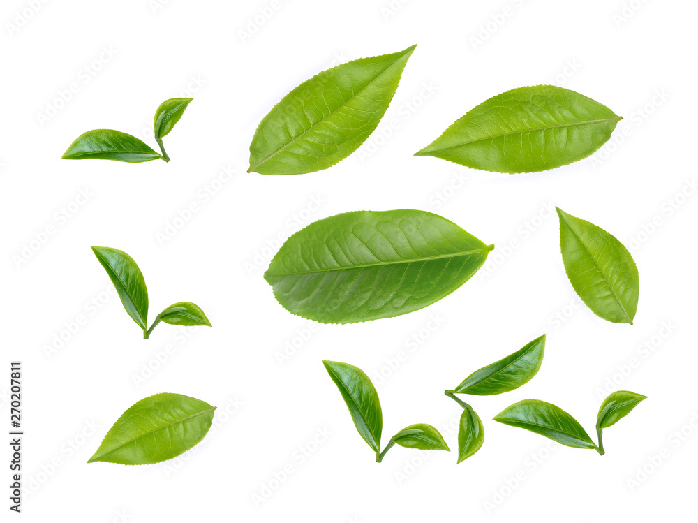 Naklejka premium green tea leaf isolated on white background