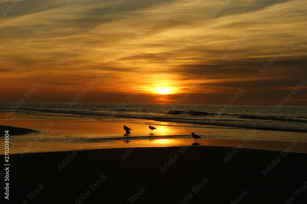 Meine Insel Meine Insel