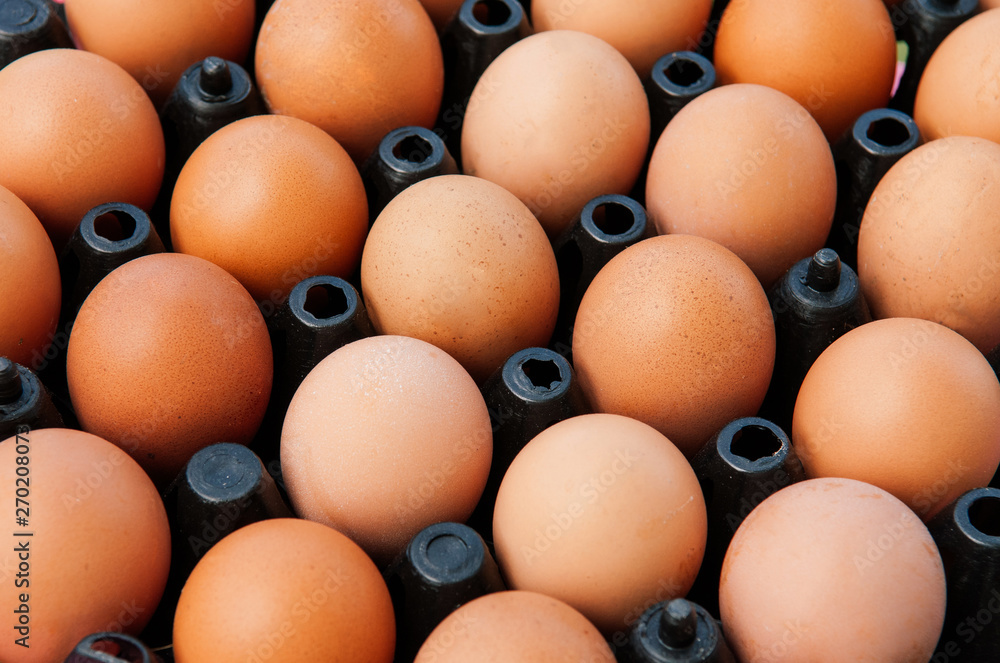 Brown Chicken eggs in black plastic box close up top view Brown Chicken eggs in black plastic box close up top view