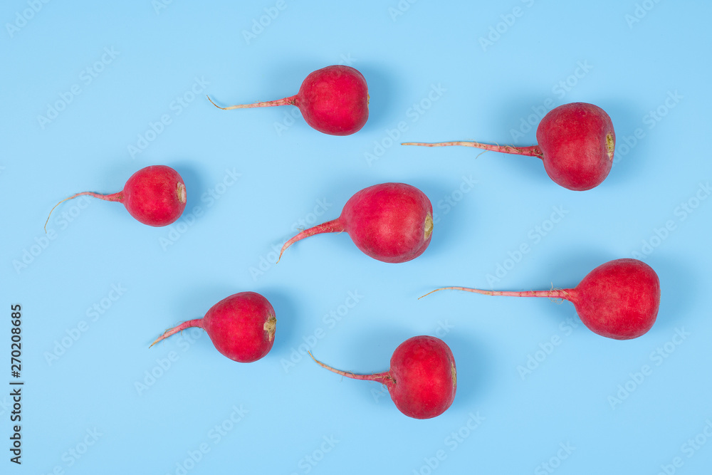 Spermatozoon swimming toward the egg isolated on blue background. Human Sperm and crimson red radish vegetable isolated. New life. Spermatozoon swimming toward the egg isolated on blue background. Human Sperm and crimson red radish vegetable isolated. New life.