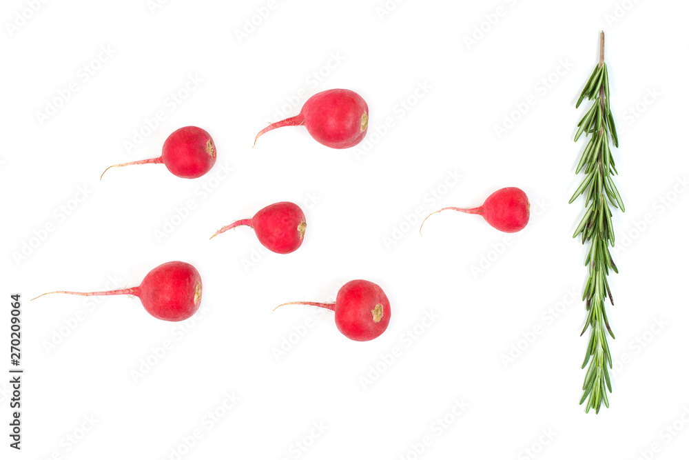 Spermatozoon swimming toward the egg isolated on blue background. Human Sperm, crimson red radish and rosemary vegetable isolated. New life conception. Spermatozoon swimming toward the egg isolated on blue background. Human Sperm, crimson red radish and rosemary vegetable isolated. New life conception.