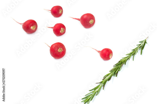 Spermatozoon swimming toward the egg isolated on blue background. Human Sperm, crimson red radish and rosemary vegetable isolated. New life conception.