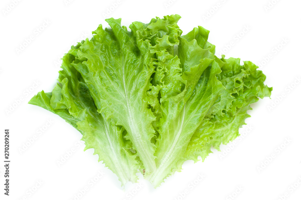 Green lettuce isolated on white background. Green lettuce isolated on white background.