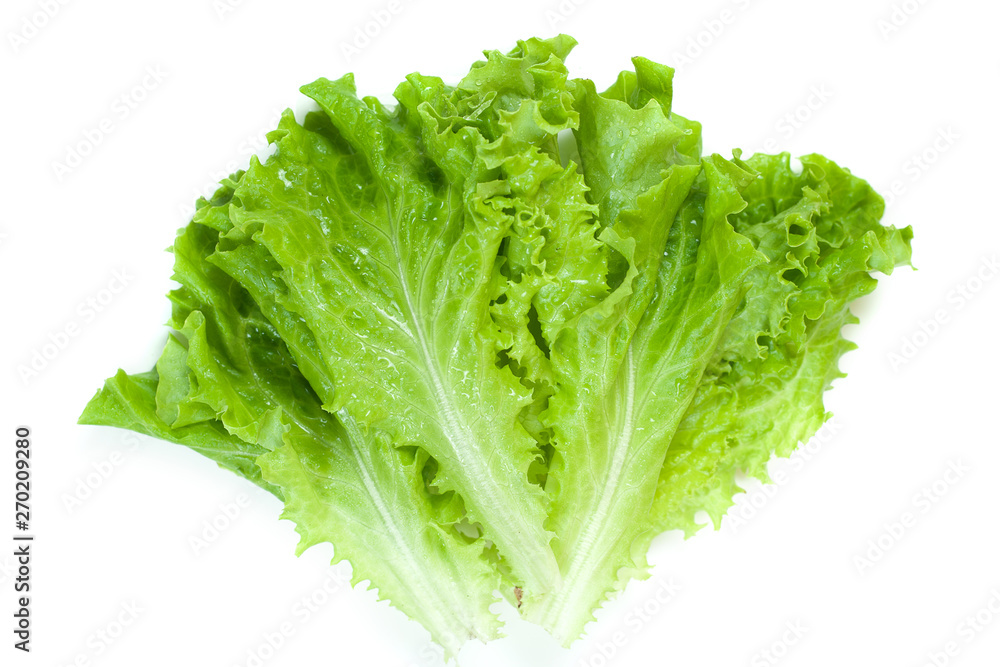 Green lettuce isolated on white background. Green lettuce isolated on white background.