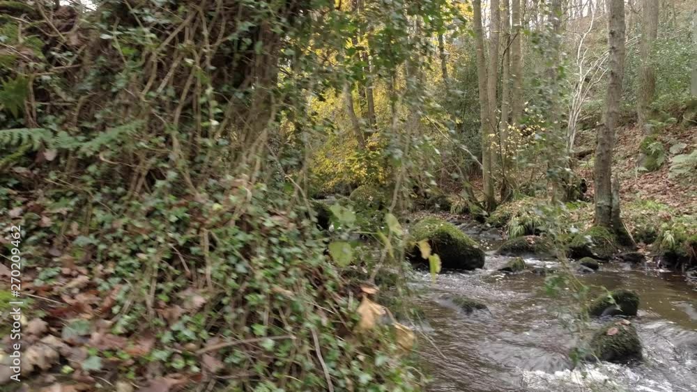 Drone From bank to stream, Goit Stock, Yorkshire Drone From bank to stream, Goit Stock, Yorkshire