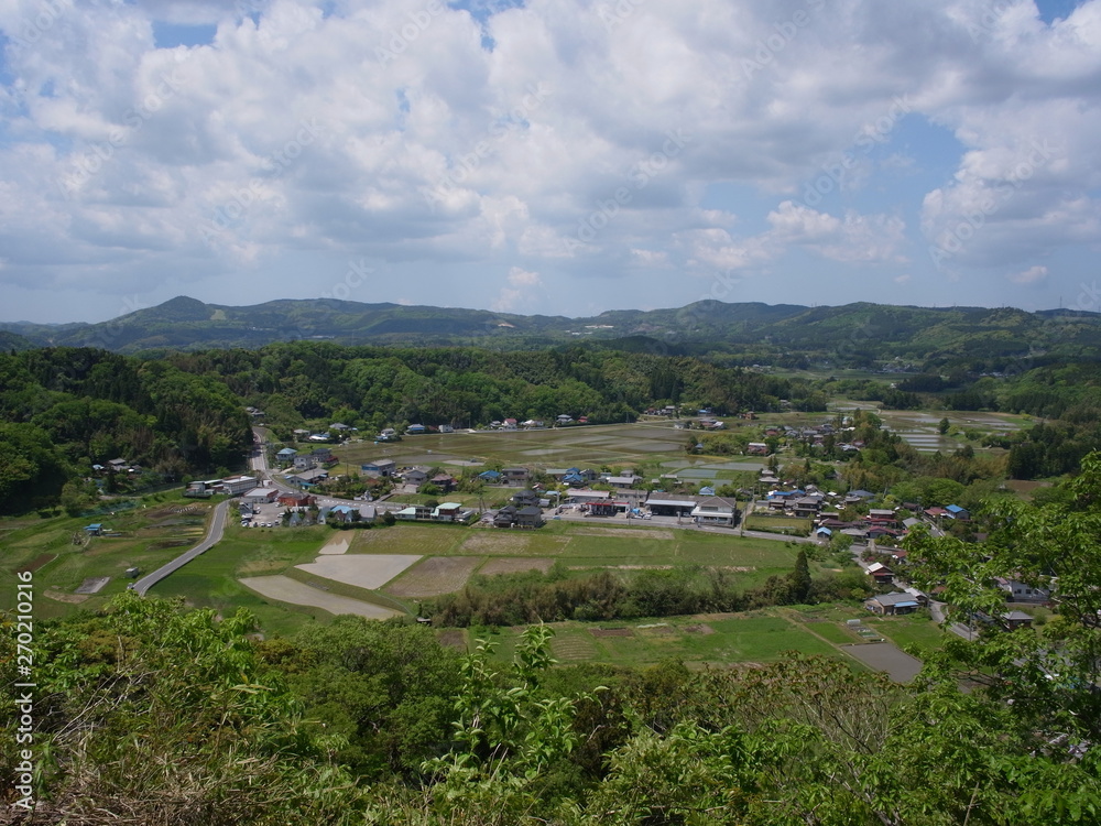 Fototapeta premium 田園風景