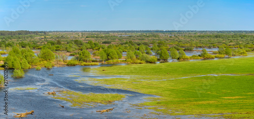 Panoramic photo. Horizontal landscape: the river flooded the valley. River and the field on a sunny summer day. Voroninsky National Park, Tambov Oblast, Russia.