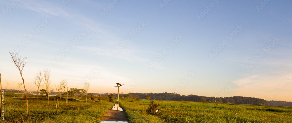 Fototapeta premium Nature