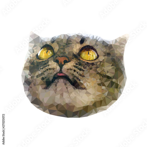 Funny looking up polygonal cat