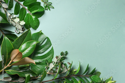 Tropical leaf frame on green background with copy space. Flat lay. Top view. Summer or spring nature concept. Leaves mock up