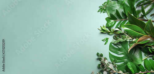 Tropical leaf frame on green background with copy space. Flat lay. Top view. ...