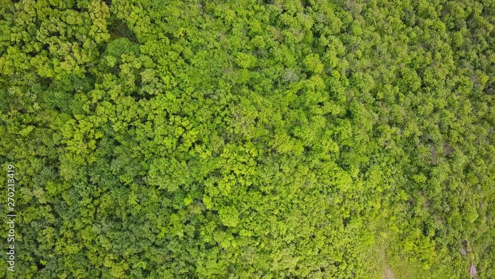 4K aerial of flying over a beautiful green forest in a rural landscape 4K aerial of flying over a beautiful green forest in a rural landscape
