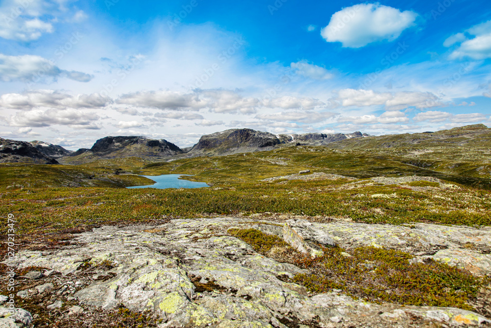 Norwegian Highlands, Hardanger Plateau, Hardangervidda Nationalpark
