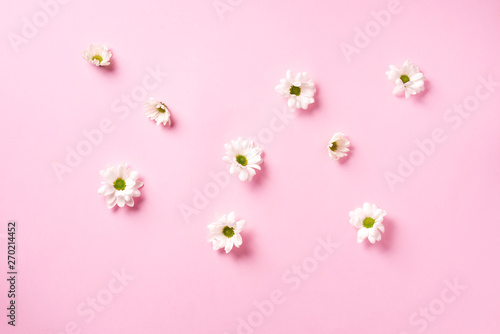 Daisy pattern. Top view. Flat lay. Floral pattern of white chamomile flowers on pink background. Summer concept