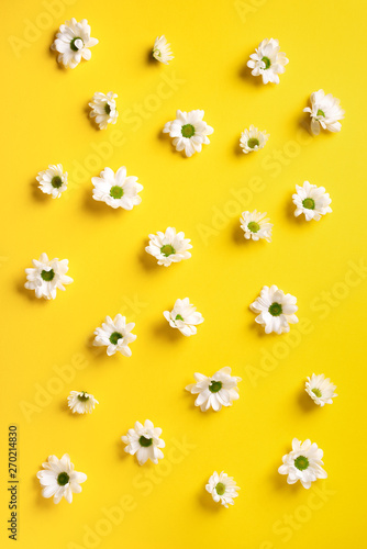 Daisy pattern. Top view. Flat lay. Floral pattern of white chamomile flowers on yellow background. Summer concept