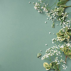 Small white gypsophila flowers on pastel green background. Women's Day, Mother's Day, Valentine's Day, Wedding concept. Flat lay. Top view. Copy space