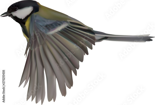 illustration with isolated yellow tit in flight