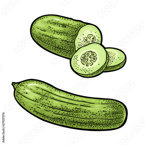 Fresh green cucumbers - whole, half, slices. Vector vintage engraving