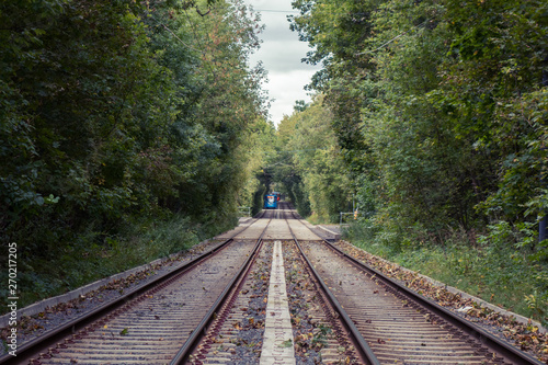 railway in the forest