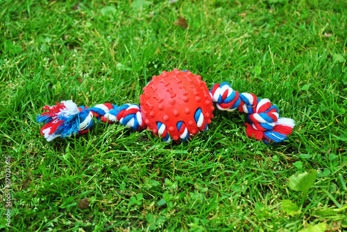 Rope & Rubber Dog Toy Laying in The Grass