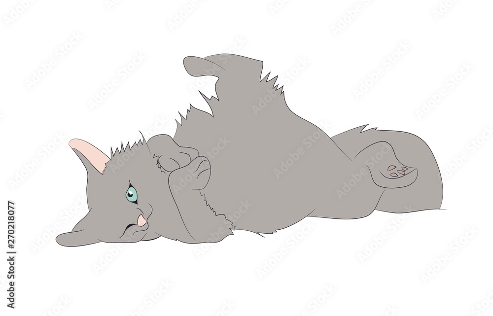 vector illustration of a cat that lies drawing color vector illustration of a cat that lies drawing color
