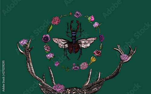 Deer's antlers, stag beetle, blooming flora on dark green background - hand drawn.