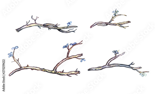 Watercolor twig set