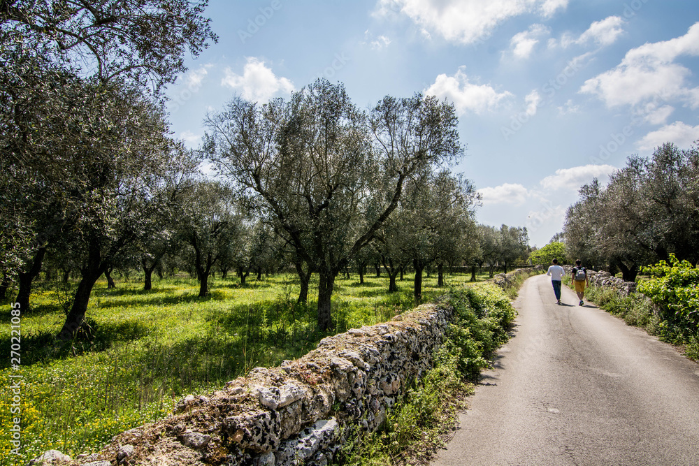 two people walking  in salento' s countryside, Puglia, Italy