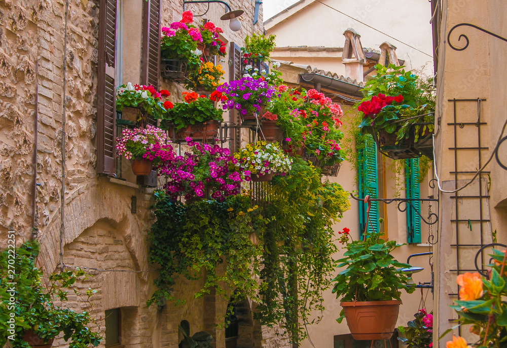 Spello: tra i borghi fioriti più belli d'Italia