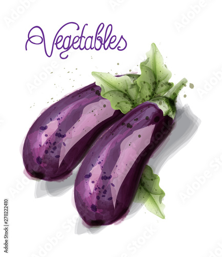Eggplant vegetables Vector watercolor isolated on white backgrounds