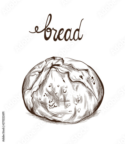 Bread Vector lineart. Vintage homemade bakery menu decors