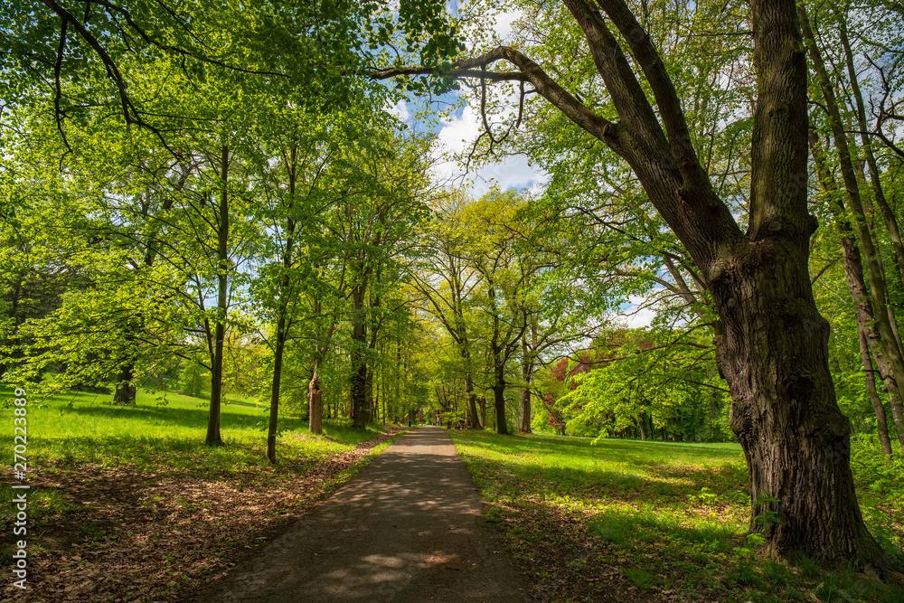 Park of Konopiste castle at springtime, Benesov, Czech republic