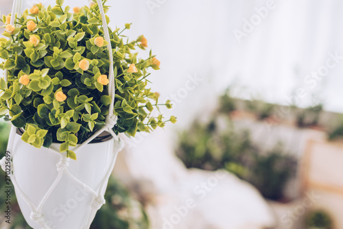 selective focus of lush plant in white flowerpot hanging on ropes