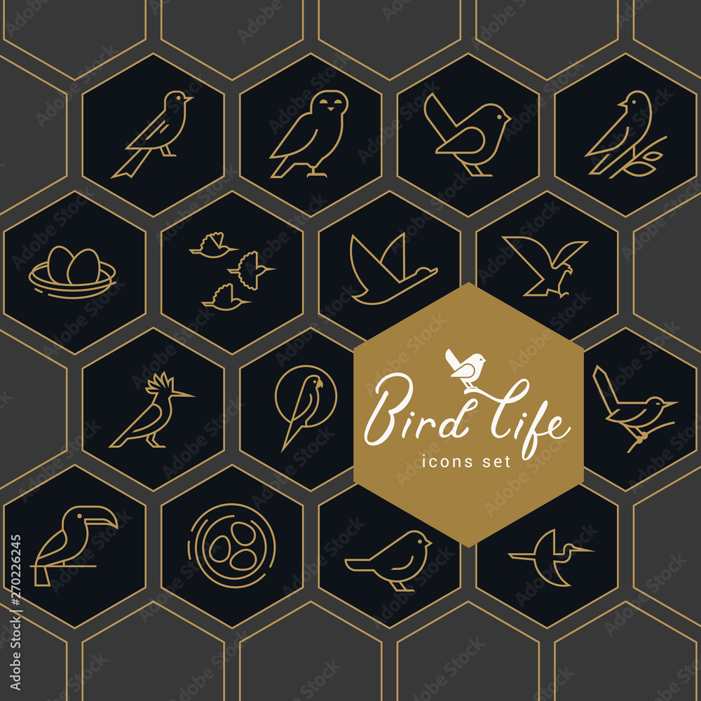Vector icon set of icons inscribed in honeycombs on the theme of the wild life of birds. Early birds in a linear style on a dark background. Design concept.