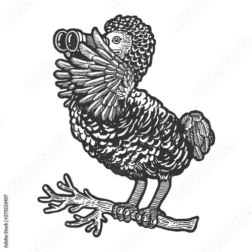 Cartoon Dodo bird watching through binocular sketch engraving vector illustration. Scratch board style imitation. Hand drawn image.