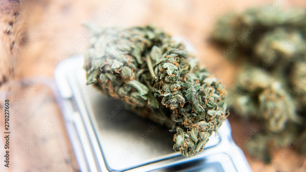 big marijuana bud in mans hand in details. Strong cannabis strain for patients. big marijuana bud in mans hand in details. Strong cannabis strain for patients.