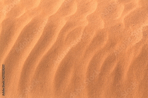 Beach sand or desert sand