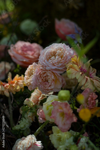  beautiful composition of roses on a blurred dark background lit by the spring sun.