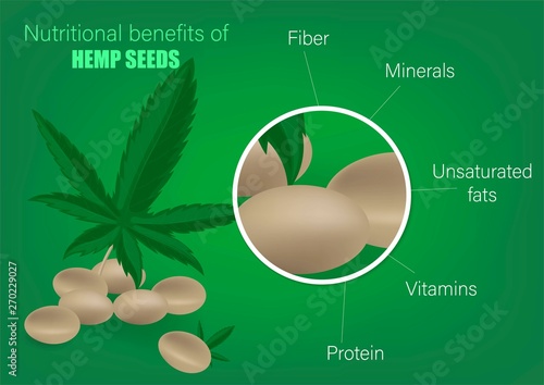 Cannabis hemp seed nutrient of facts and health benefits. Nutritional benefits of hemp seeds. Useful components of marijuana. Fiber, minerals, unsaturated fats, vitamins, protein.