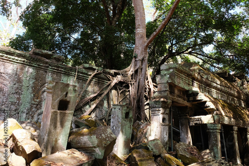 Ta Prohm ruins with giant spung tree roots in Angkor Wat, Cambodia. Ficus germinated among the ancient stone blocks. photo