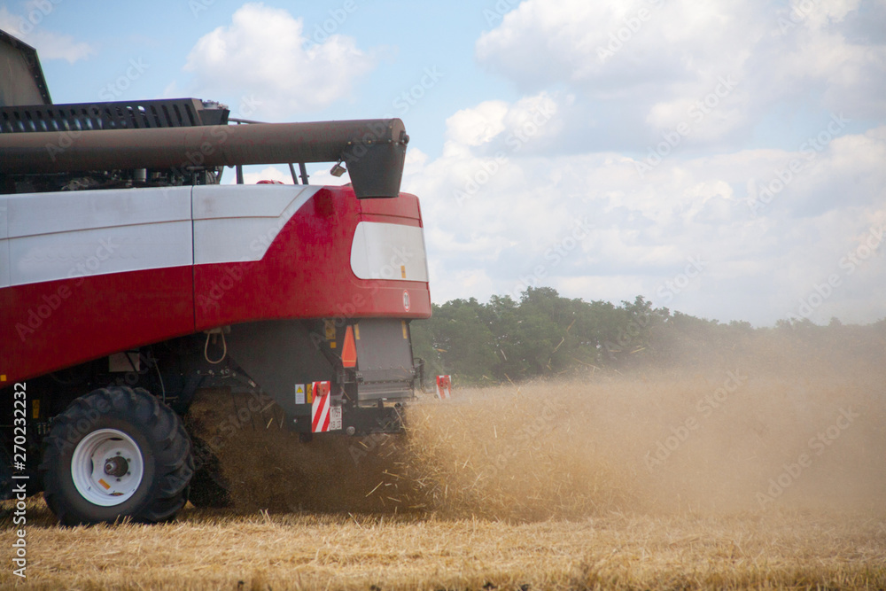 Obraz premium combine harvester working on a wheat field.